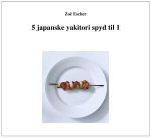 5 japanske yakitori spyd til en - forside